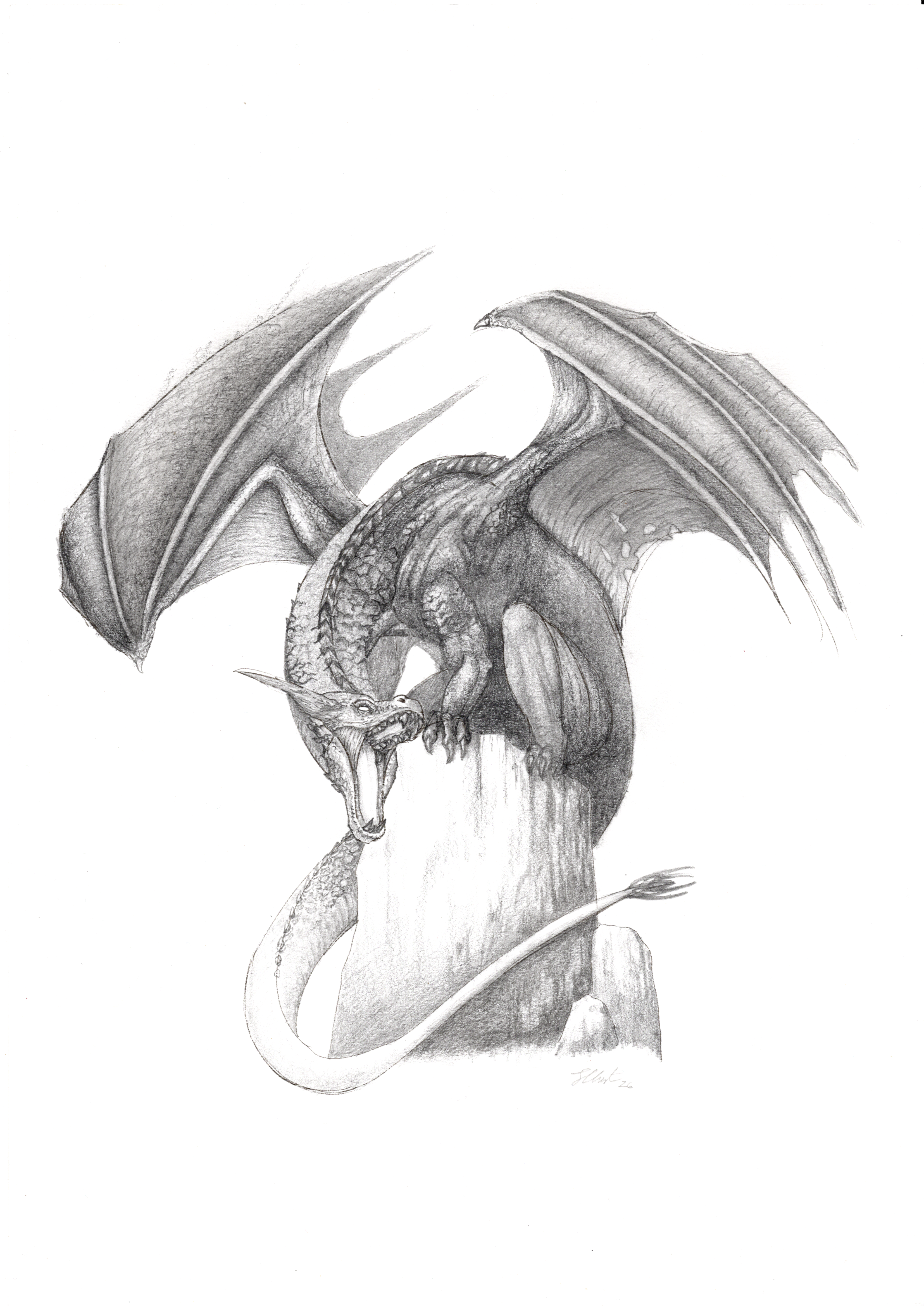 Perched Dragon - Pencil on A4